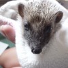Were not allowed favourites but he is so cute!